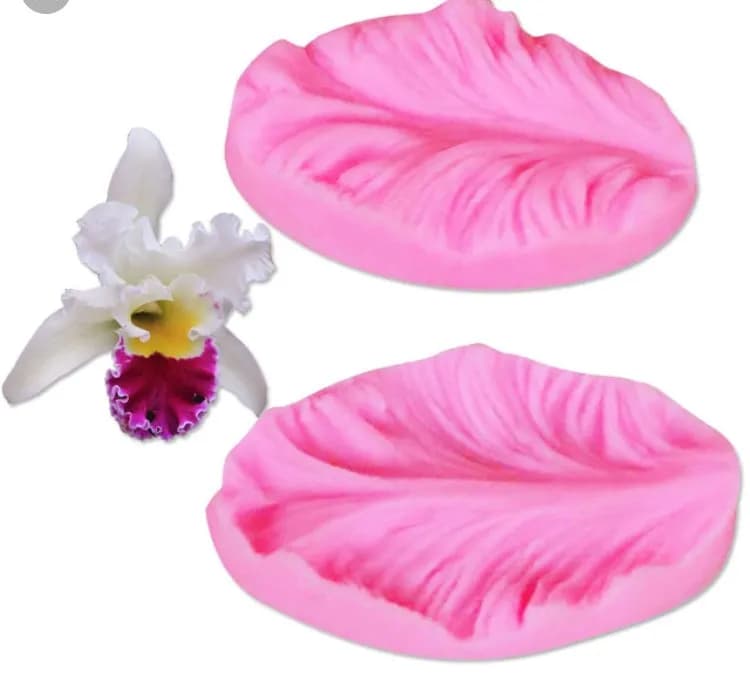 ECT 1698 veiner mold image 1