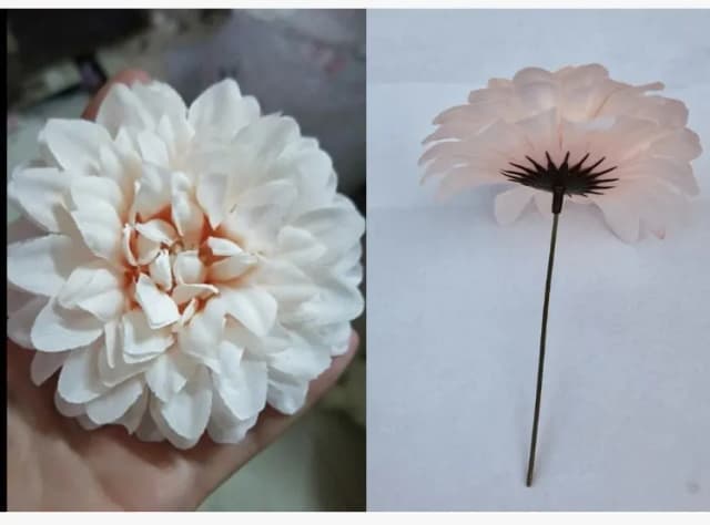 ECT 1767 Beige Dahlia flower 10cm with stick