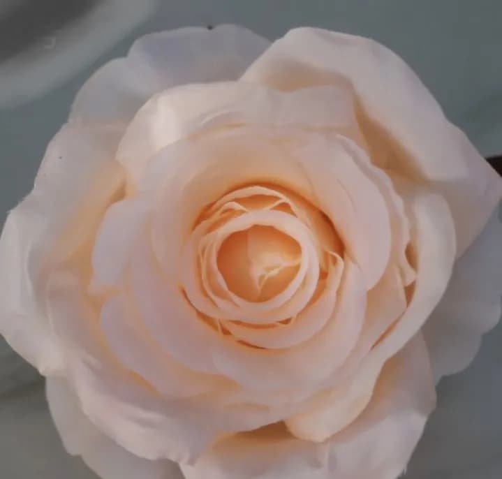 ECT 1786 10cm Cream Rose Flower with Stick image 1