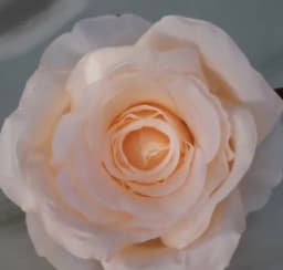 ECT 1786 10cm Cream Rose Flower with Stick thumbnail 1