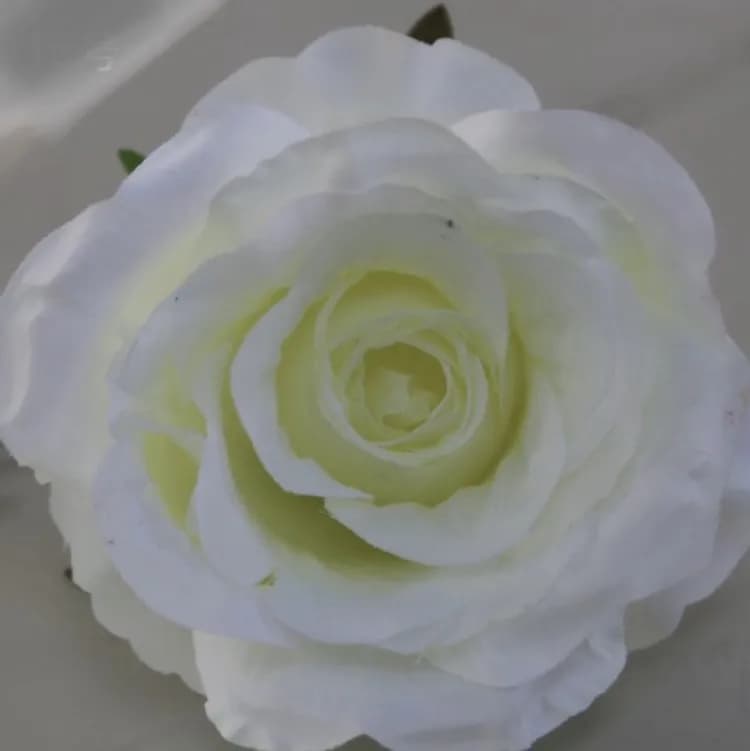 ECT 1787 White 10cm Rose Flower with Stick image 1