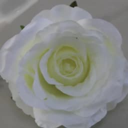 ECT 1787 White 10cm Rose Flower with Stick thumbnail 1
