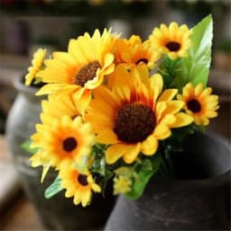 ECT 1811 Sunflower bunch thumbnail 1