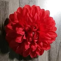 ECT 1813 10cm Red dahlia flower thumbnail 1