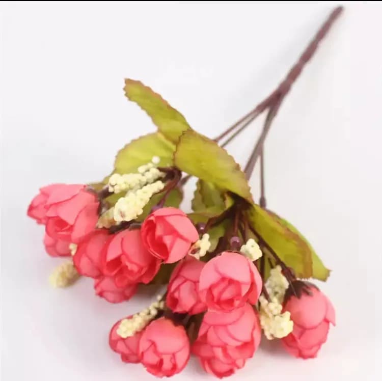 ECT 1825 Rosebud bunch image 1