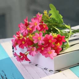 ECT 1924 Light Pink and Dark Pink 28 flower head daisy thumbnail 1