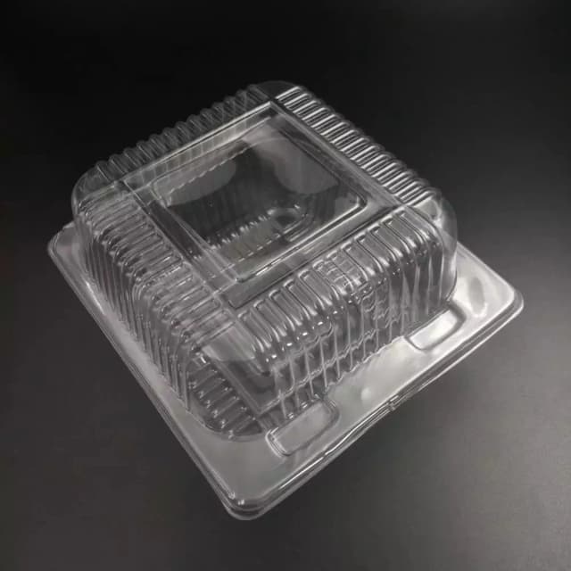 ECT 2094 Square food package 25pcs