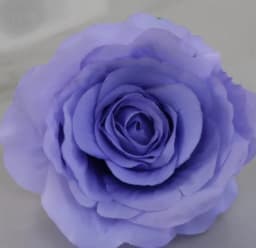 ECT 2202 Lilac Rose Flower thumbnail 1
