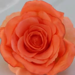ECT 2204 Orange Rose Flower thumbnail 1