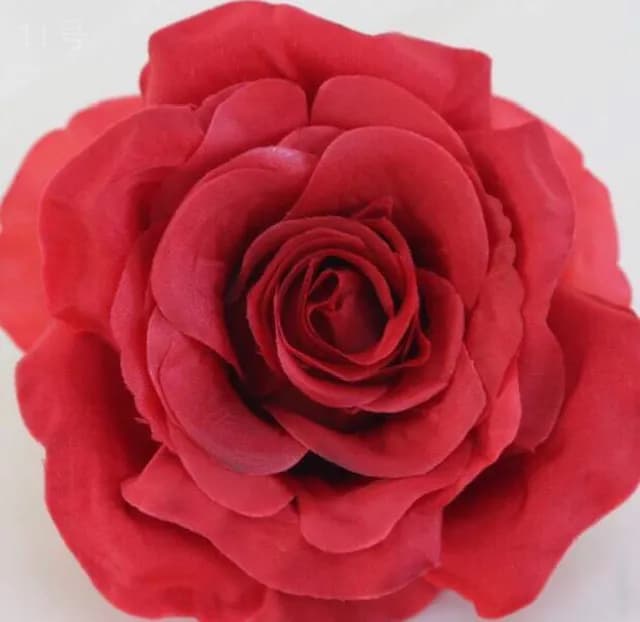 ECT 2209 Wine Rose Flower image 1