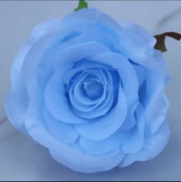 ECT 2212 thumbnail 1