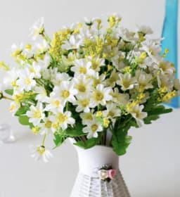 ECT 2700 White daisy flower thumbnail 1