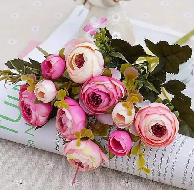 ECT 2711 Pink and white Ranunculus flower