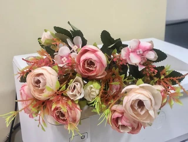 ECT 2715 Pale pink ranunculus flower image 1