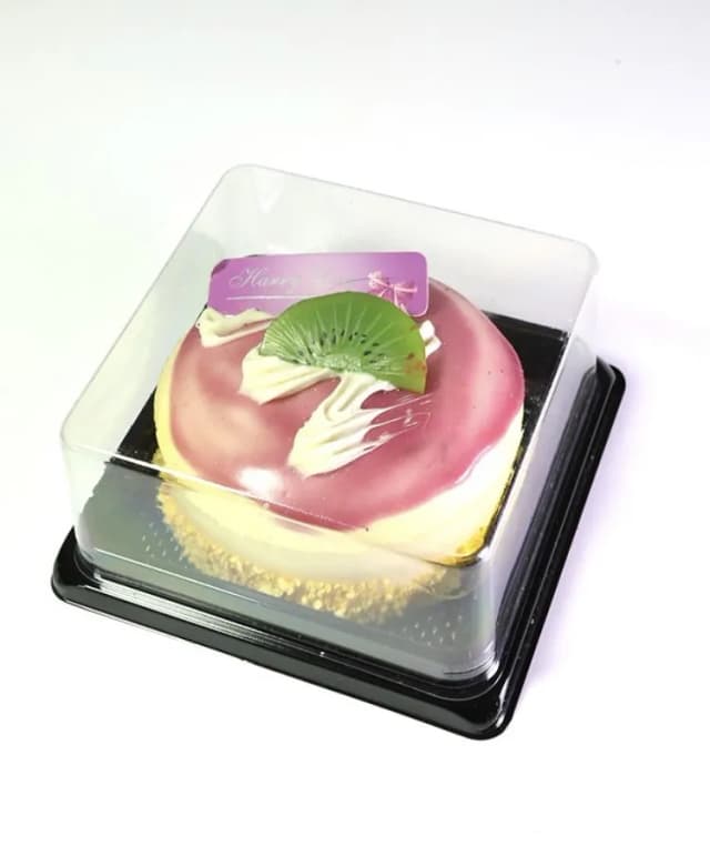 ECT 3113 Square Cake slice package 10 Pcs