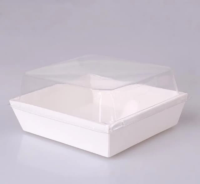 ECT 3114 Large square food package 10 PCS