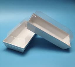 "Ect 3115 large rectangle food package 10pcs" thumbnail 1