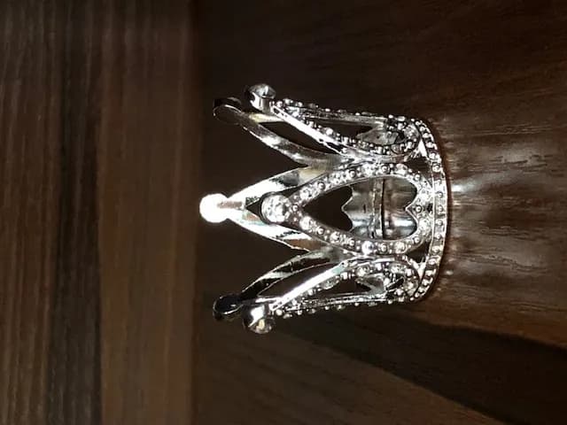 ECT 4100 silver crown topper small image 1