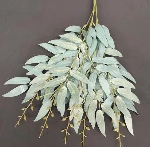 ECT 4347 Pale green leaves image 1